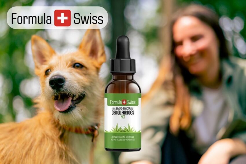 Lovlige og effektive: Hvorfor cbd olier fra formula swiss er et hit blandt danske hundeejere