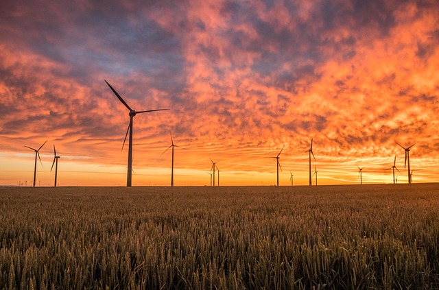 Strømløs? Sådan skaber du din egen energi i nødsituationer